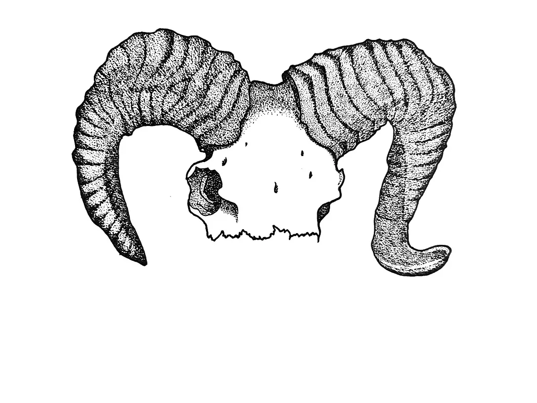 Skull with horns