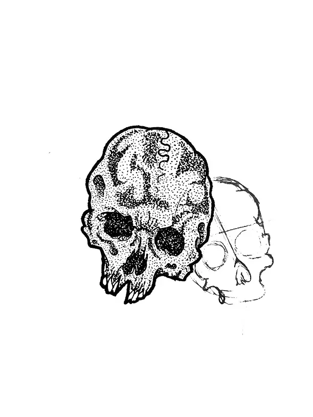 Skulls